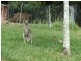 Lot 302 Wongaree Way, Currumbin Valley QLD 4223