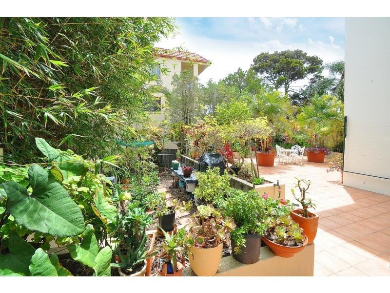 1/6 Petrel Avenue, Mermaid Beach QLD 4218