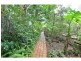 #/99 Petrel Avenue, Mermaid Beach QLD 4218