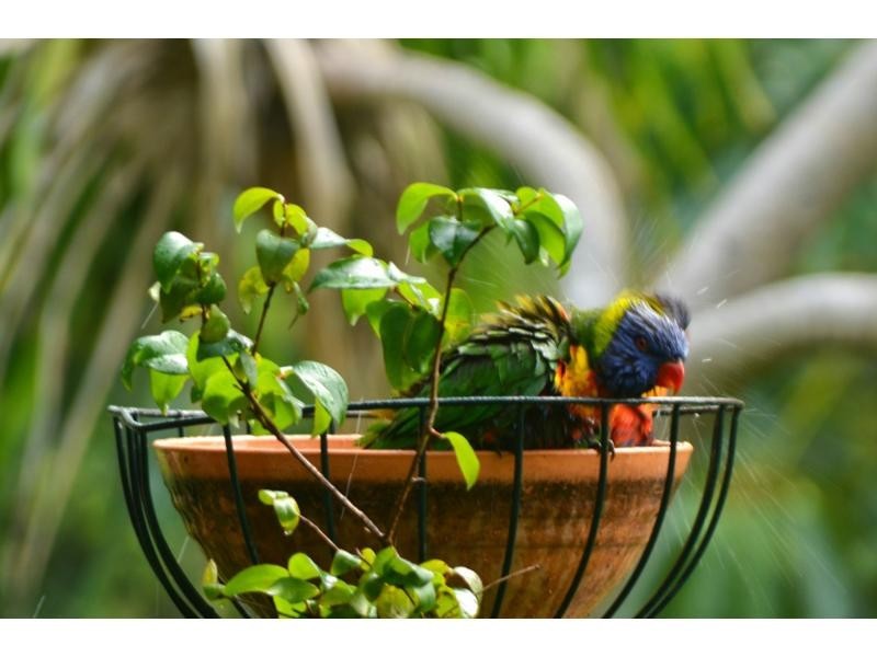 83 Ocean Parade, Burleigh Heads QLD 4220