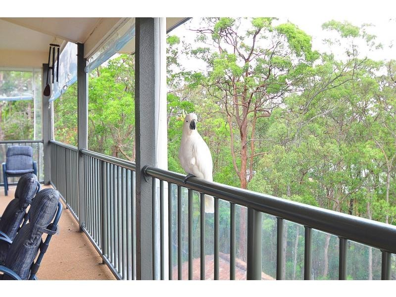 25 Fenton Drive, Tallebudgera QLD 4228