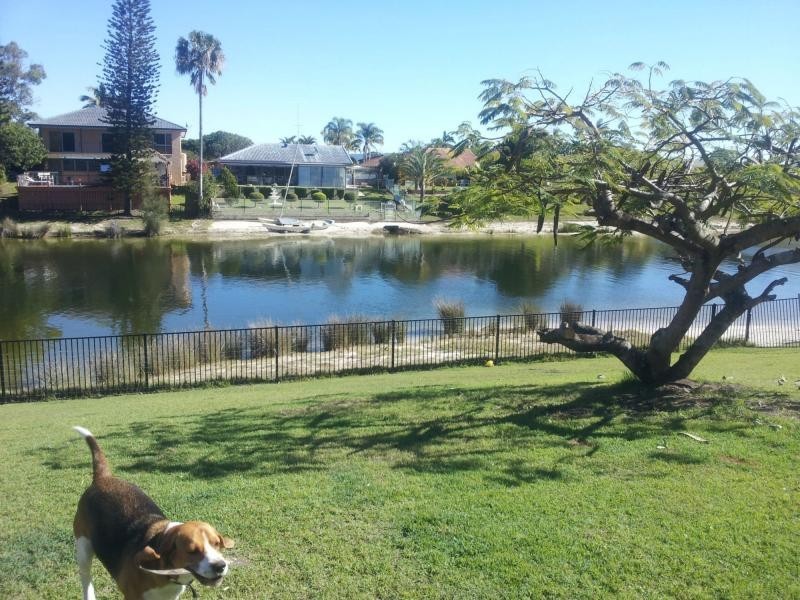 45 Kingfisher Crescent, Burleigh Waters QLD 4220
