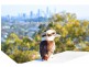 119 George Street, Burleigh Heads QLD 4220