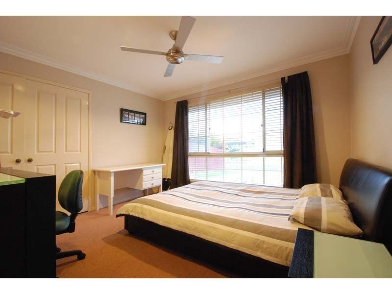 38 Wedgebill Parade, Burleigh Waters QLD 4220