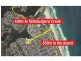 59 Tallebudgera Drive, Palm Beach QLD 4221