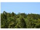 15 Barton Street, Reedy Creek QLD 4227