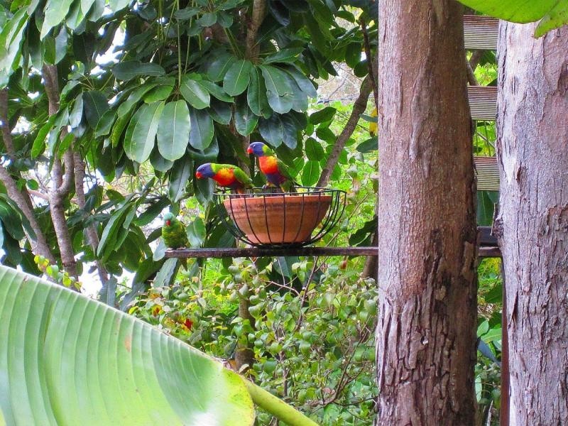 79-81 Ocean Parade, Burleigh Heads QLD 4220