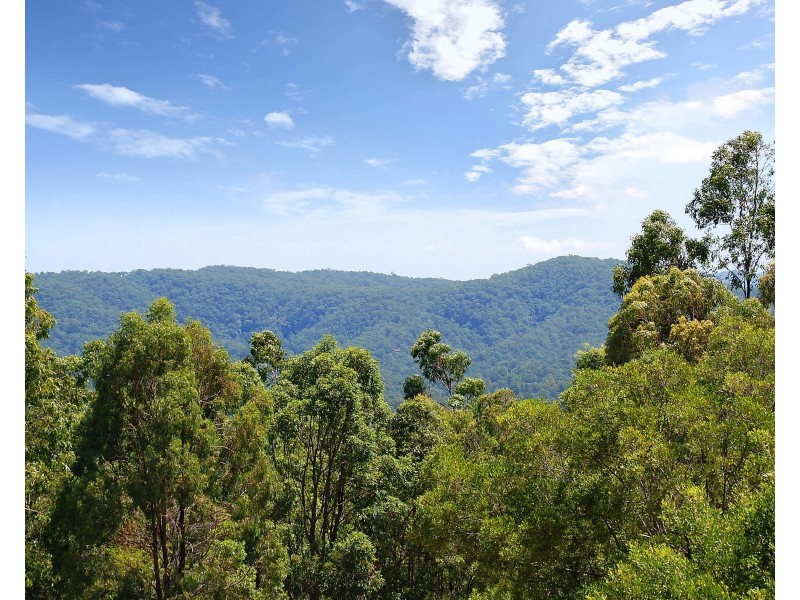 31/2 Ridgeline Way, Highland Park QLD 4211