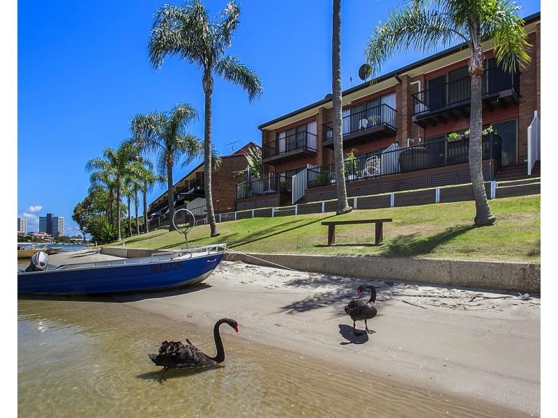 9/17-21 Duet Dr, Mermaid Waters QLD 4218