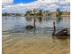 9/17-21 Duet Dr, Mermaid Waters QLD 4218