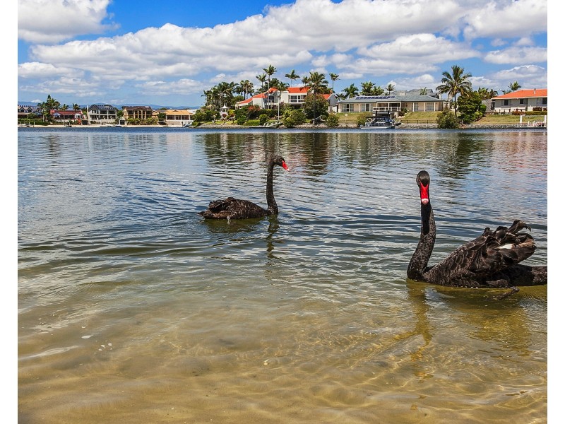 9/17-21 Duet Dr, Mermaid Waters QLD 4218
