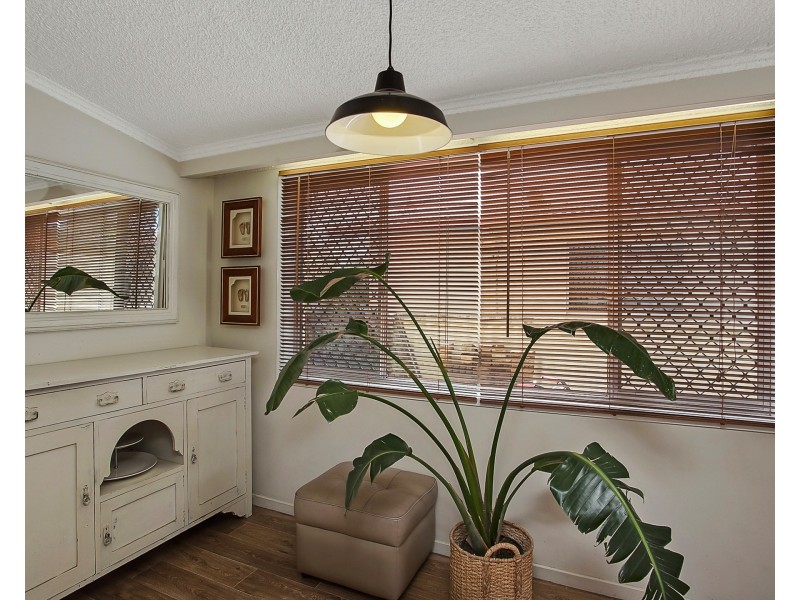 19 Lesley Avenue, Miami QLD 4220