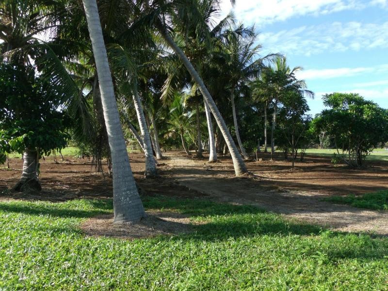 6 Sandy Close, Oasis, Mission Beach QLD 4852