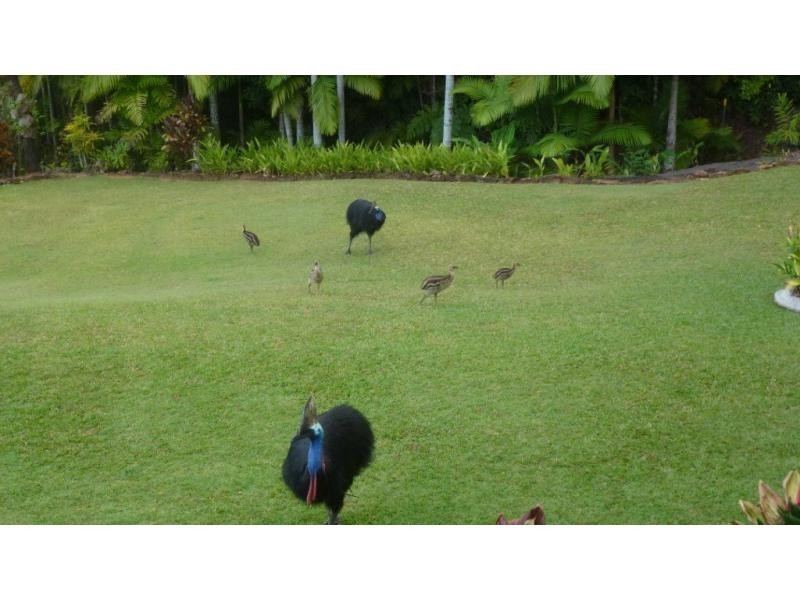 550 Etty Bay Road, Etty Bay QLD 4858
