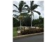2 Reef Close, Mission Beach QLD 4852