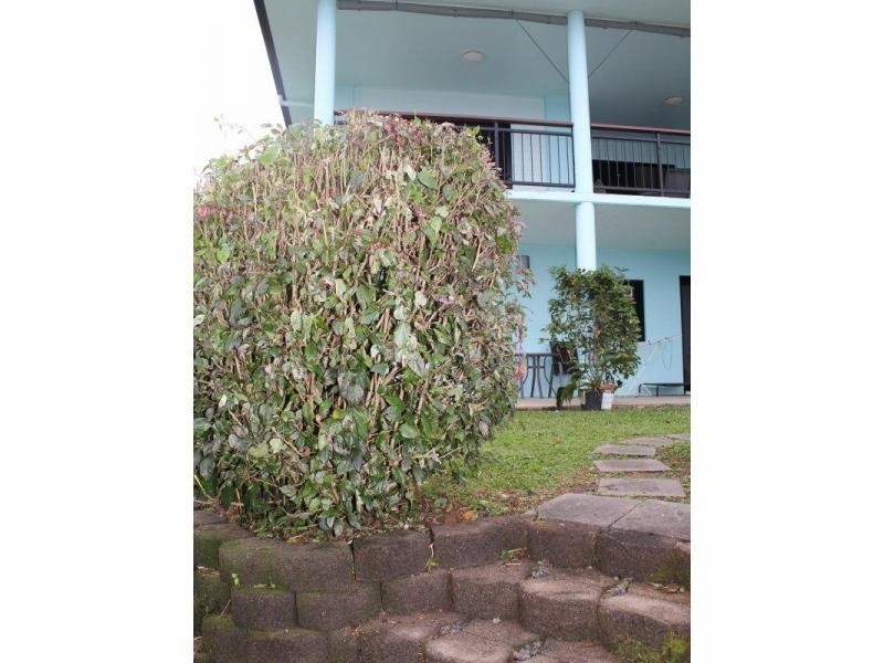 21 Dunkalli Crescent, Wongaling Beach QLD 4852