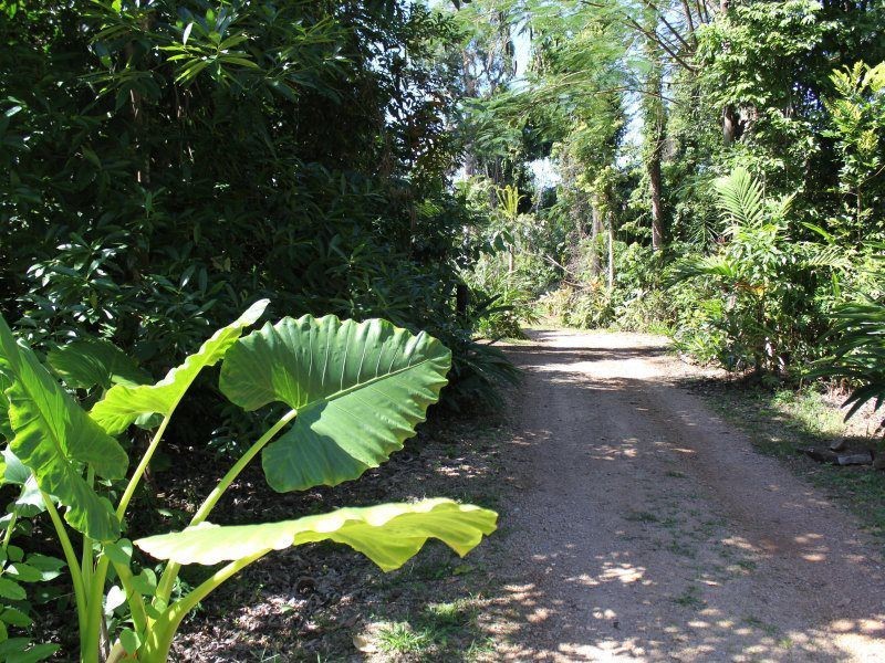 151 Lindsay Road, Carmoo QLD 4852