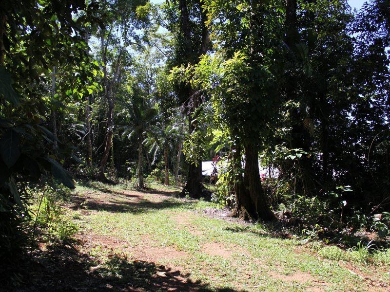 151 Lindsay Road, Carmoo QLD 4852