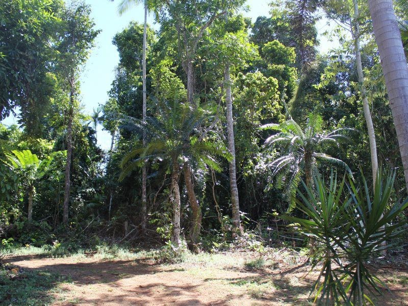 151 Lindsay Road, Carmoo QLD 4852