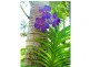 2 Carrington Drive, Wongaling Beach QLD 4852