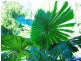 2 Carrington Drive, Wongaling Beach QLD 4852