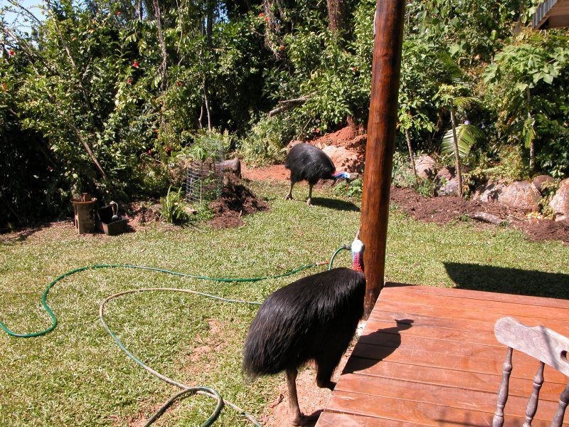 142 Garners Beach Road, Garners Beach QLD 4852