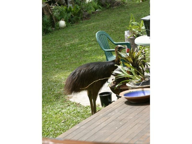 142 Garners Beach Road, Garners Beach QLD 4852