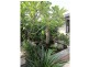 23 Rise Crescent, Mission Beach QLD 4852