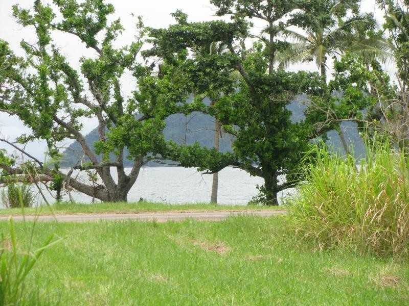 1 Bunting Street, Wongaling Beach QLD 4852