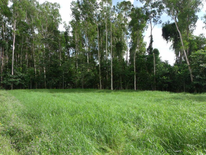 4 Sanctuary Crescent, Wongaling Beach QLD 4852
