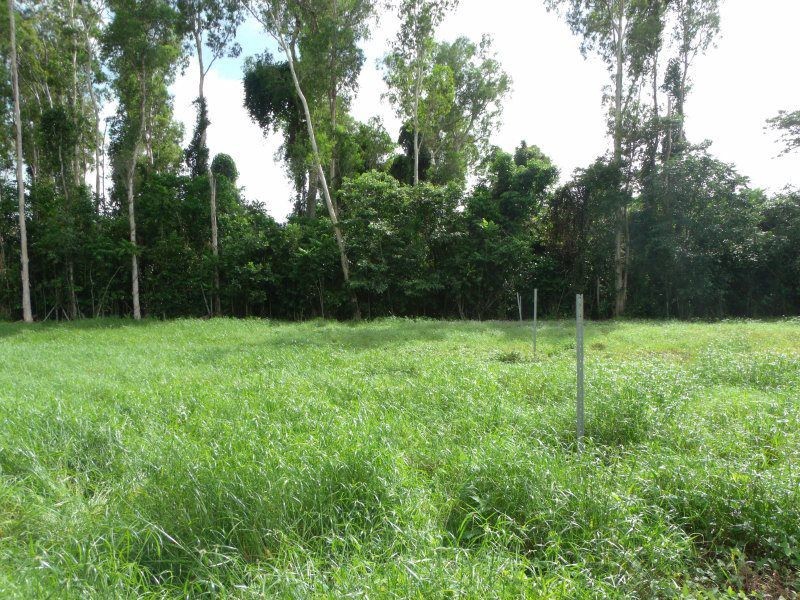 4 Sanctuary Crescent, Wongaling Beach QLD 4852