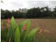 54 Sanctuary Crescent, Wongaling Beach QLD 4852
