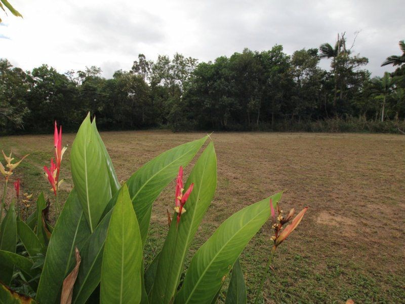 54 Sanctuary Crescent, Wongaling Beach QLD 4852