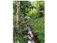 44 Mount Myrtle Road, East Feluga QLD 4854