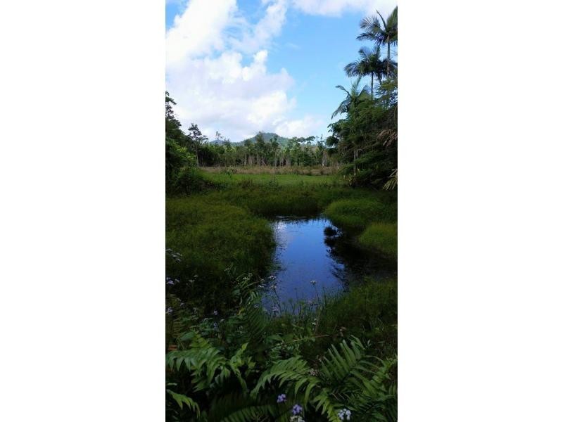 44 Mount Myrtle Road, East Feluga QLD 4854