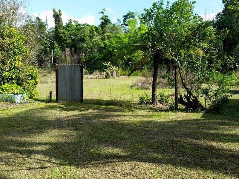 44 Mount Myrtle Road, East Feluga QLD 4854