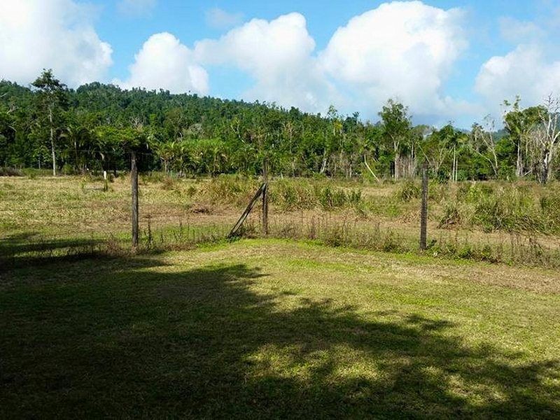 44 Mount Myrtle Road, East Feluga QLD 4854