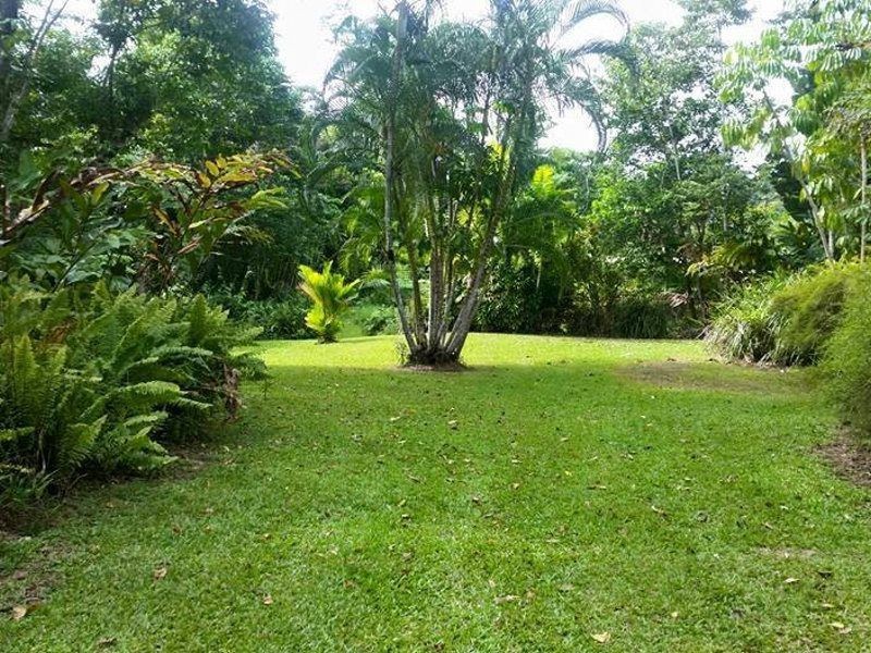 44 Mount Myrtle Road, East Feluga QLD 4854