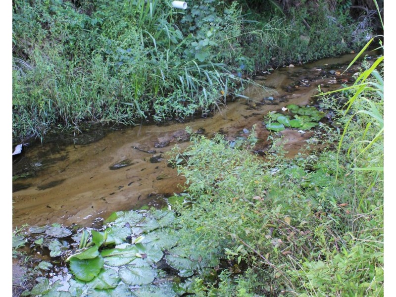 3 Kwila Street, Wongaling Beach QLD 4852