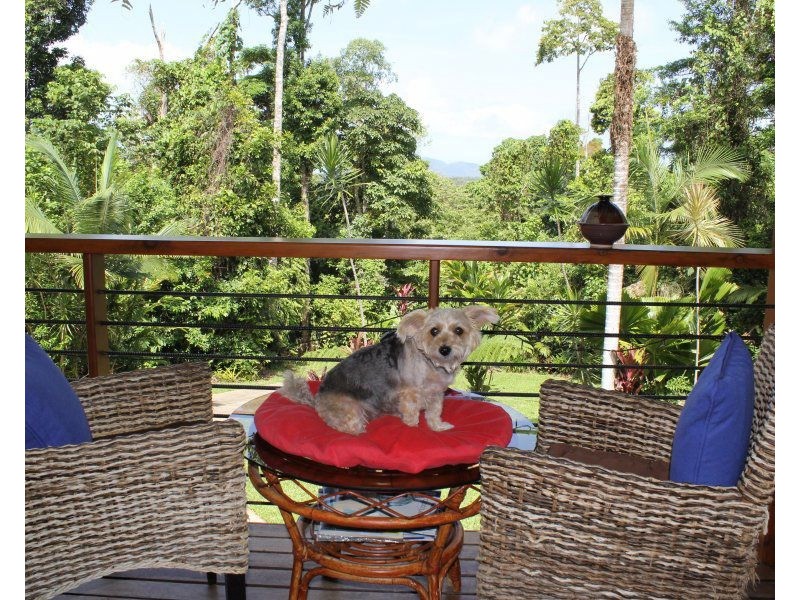 146 Lindsay Road, Carmoo QLD 4852