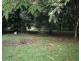 Lot 11 Mullins Road, Jarra Creek QLD 4854