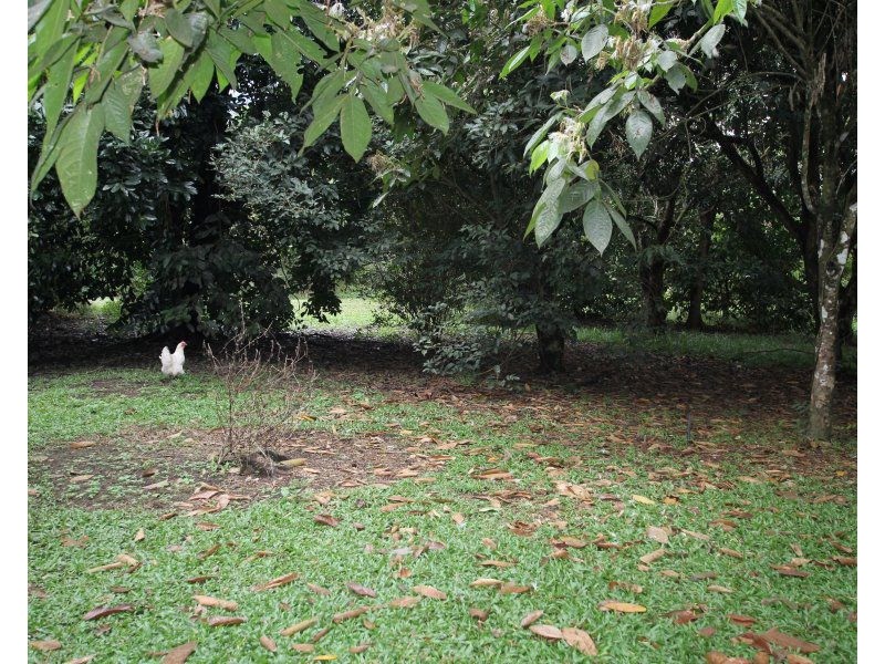 Lot 11 Mullins Road, Jarra Creek QLD 4854