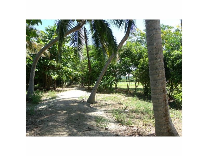 11 Coral Close, Mission Beach QLD 4852