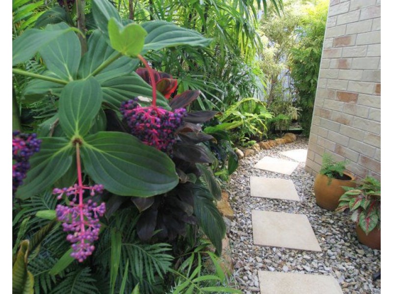 59 Mission Drive, South Mission Beach QLD 4852
