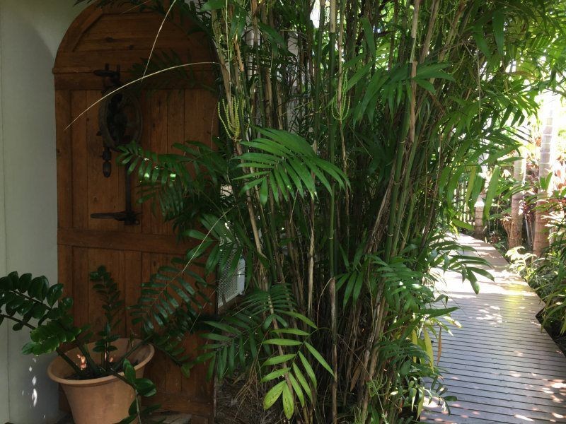 8 Conch Street, Mission Beach QLD 4852