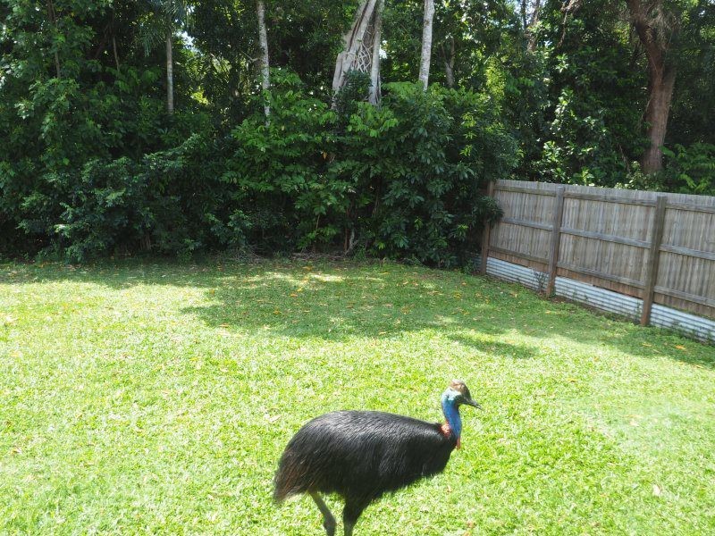 20 Midshipman Street, South Mission Beach QLD 4852