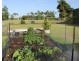 6 Walter Lever Estate Road, Silkwood QLD 4856