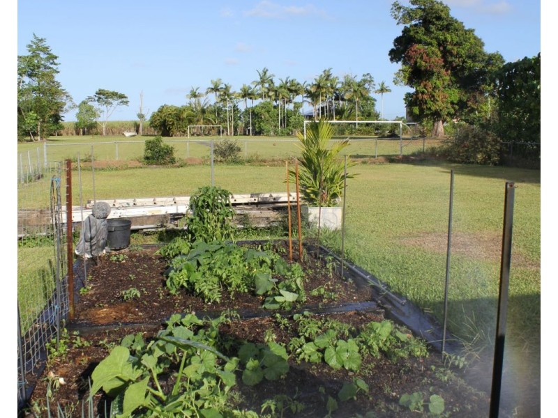 6 Walter Lever Estate Road, Silkwood QLD 4856
