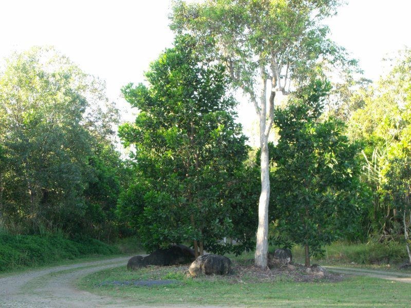38 Lindsay Road, Carmoo QLD 4852