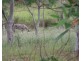 Proposed Lot 11 Boyett Road, Mission Beach QLD 4852